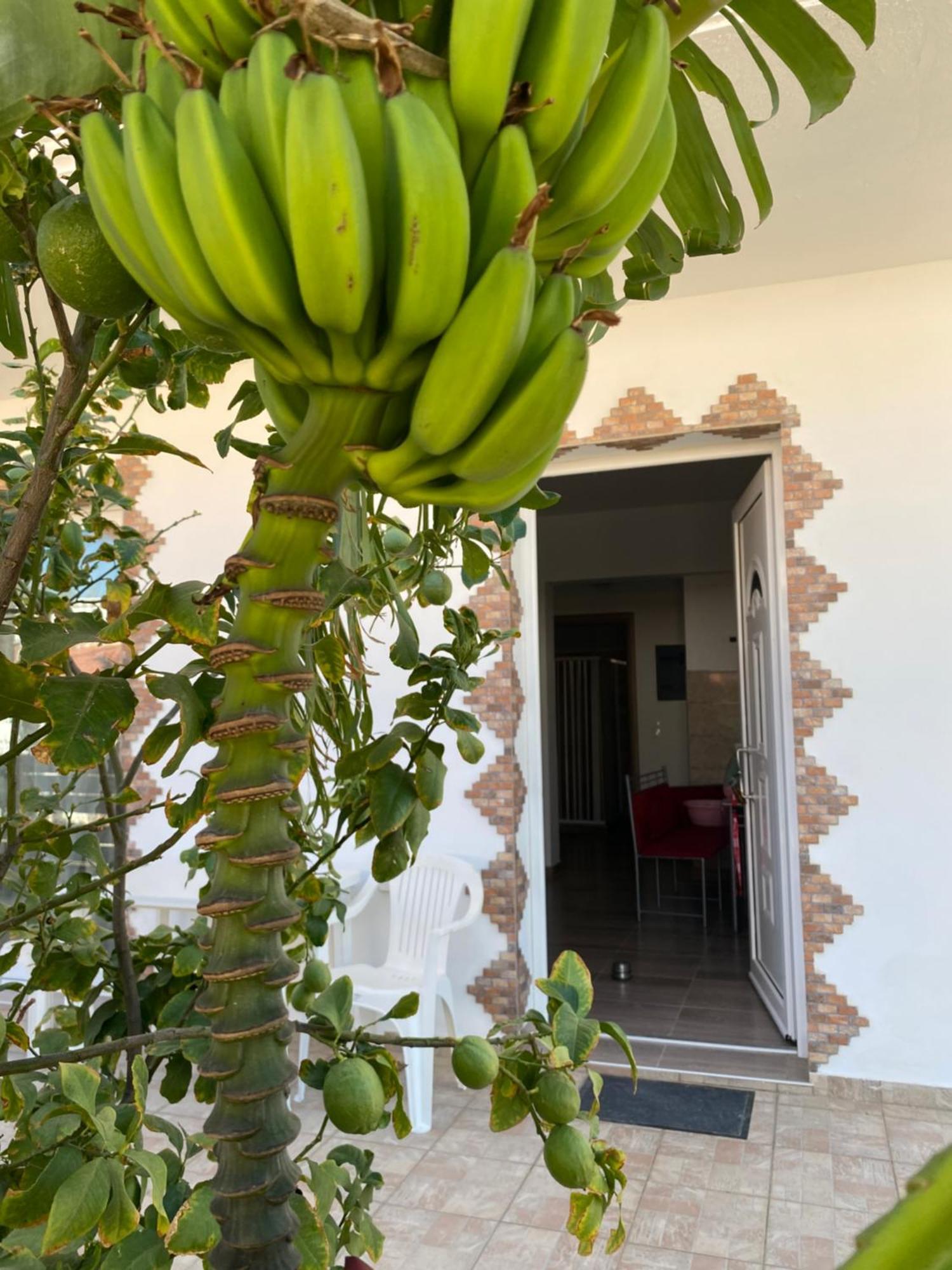 Villa Tassos-Haus Archangelos  Exterior foto